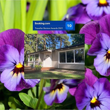 הוילה Sjöbo Nordic Relax House - Woodhouse מראה חיצוני תמונה
