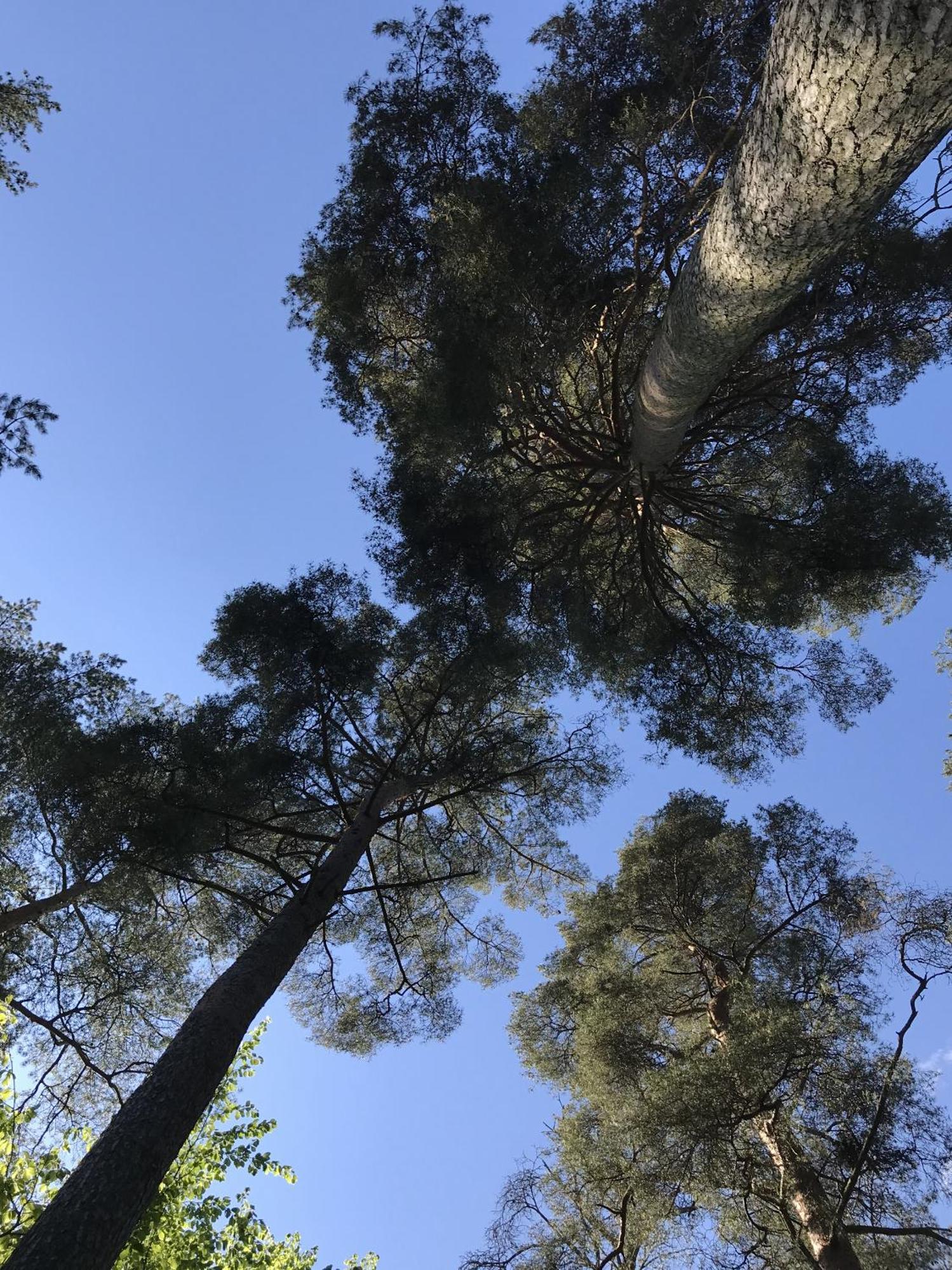 הוילה Sjöbo Nordic Relax House - Woodhouse מראה חיצוני תמונה